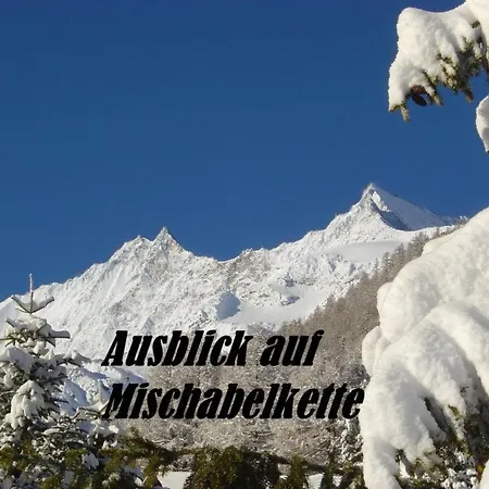 Apartment Acimo Appartement-fewo 2-bettwohnung Muschi By Interhome Saas-Fee